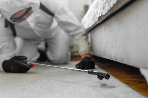 Professional Bed Bug Control technician working in Ocean Pointe, HI