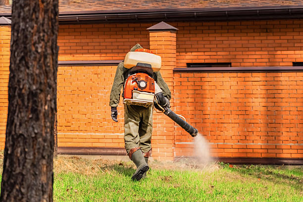 Trusted Cockroach Control service in Ocean Pointe, HI - Nex Pest Control
